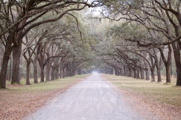 Tybee Island