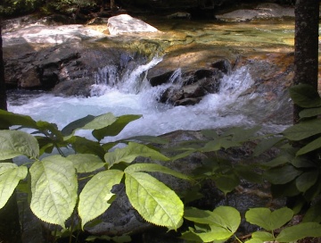 New Hampshire NH