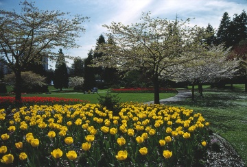 Vancouver