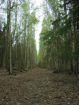 Anchorage