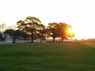 Raceland
